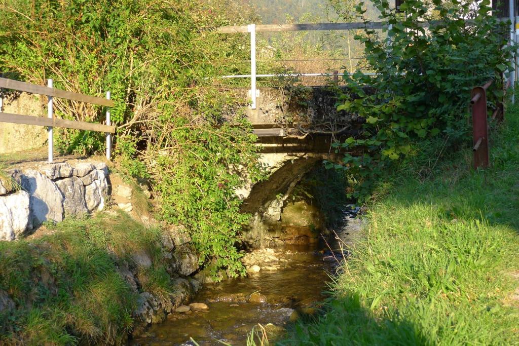Gaestehaus Graf Bezau Εξωτερικό φωτογραφία